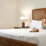Ground Floor King Bedroom