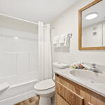 Unit 3S Spare Bathroom