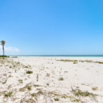 Beach Views