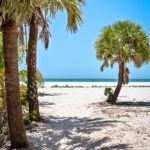 Beach Views